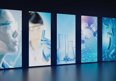 KT - Photo being presented in exhibition