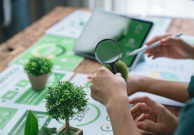 KT - Photo of tree miniature