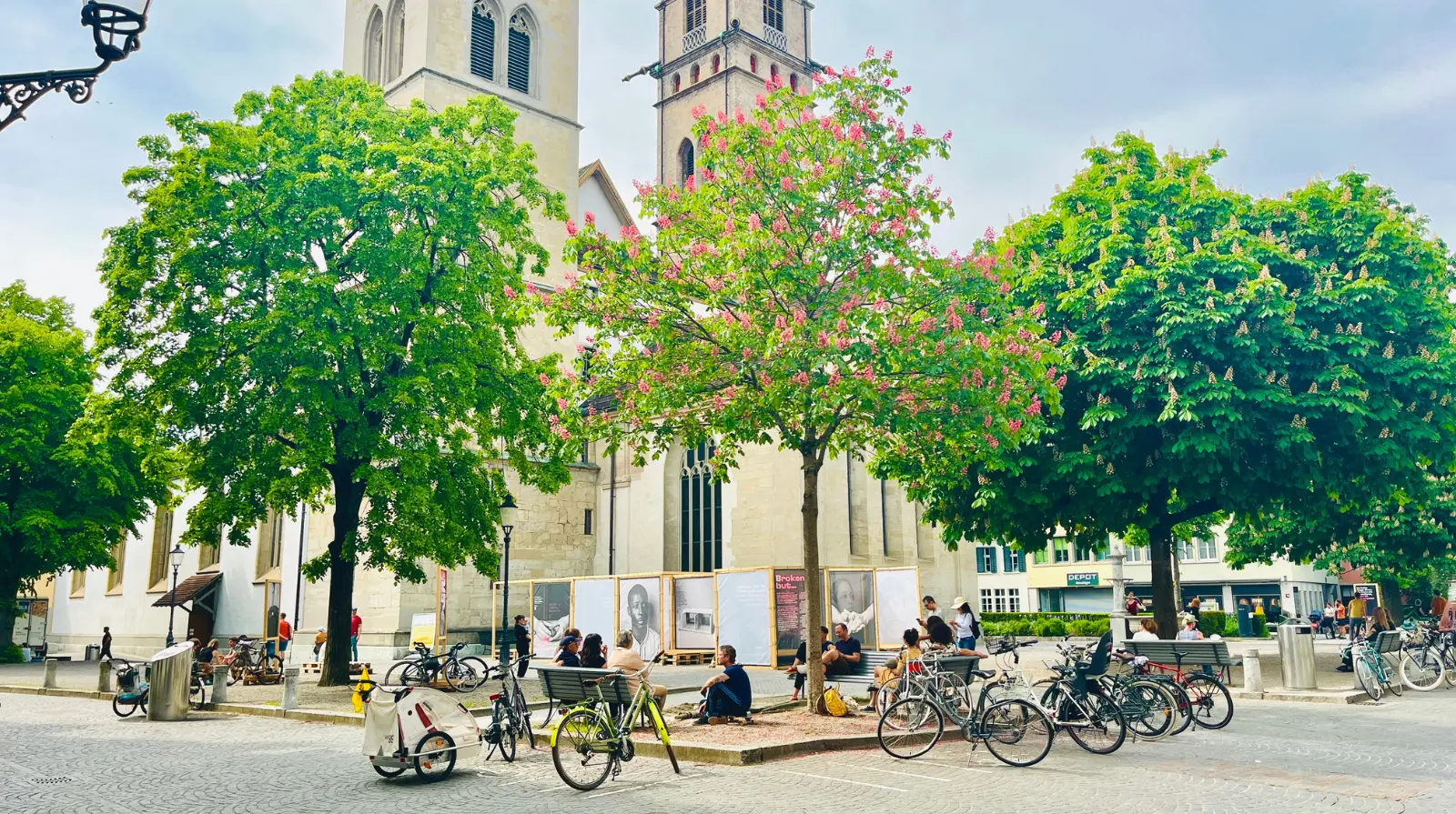 Winterthur city square on a sunny day with cyclists, pedestrians and a large green tree at the centre, surrounded by historic buildings.