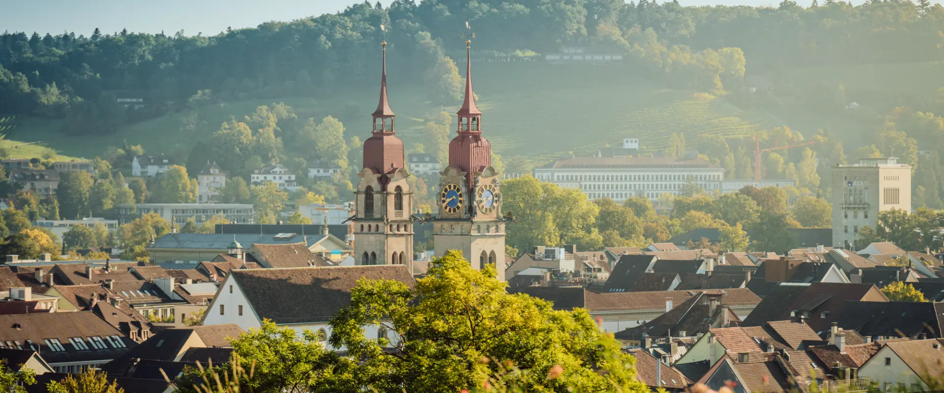 View of Winterthur, Switzerland, in the summer with old town rooftops