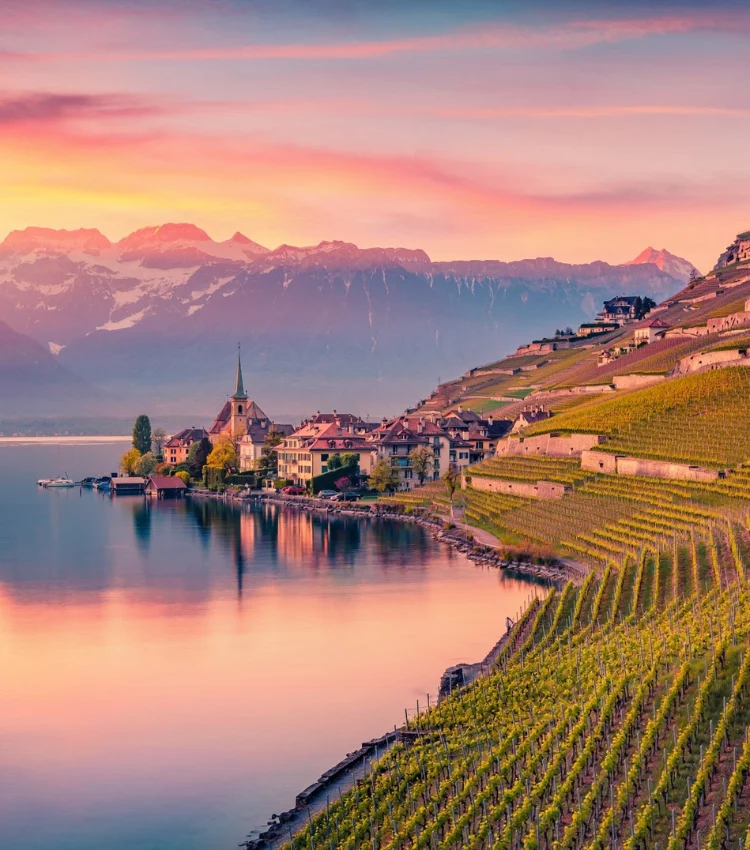 Terraced vineyards sloping to Lake Geneva at sunset, with a lakeside village church and snow-capped Alps