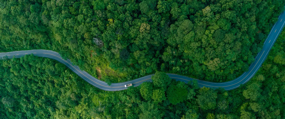 Aerial view of car drviing through a forest
