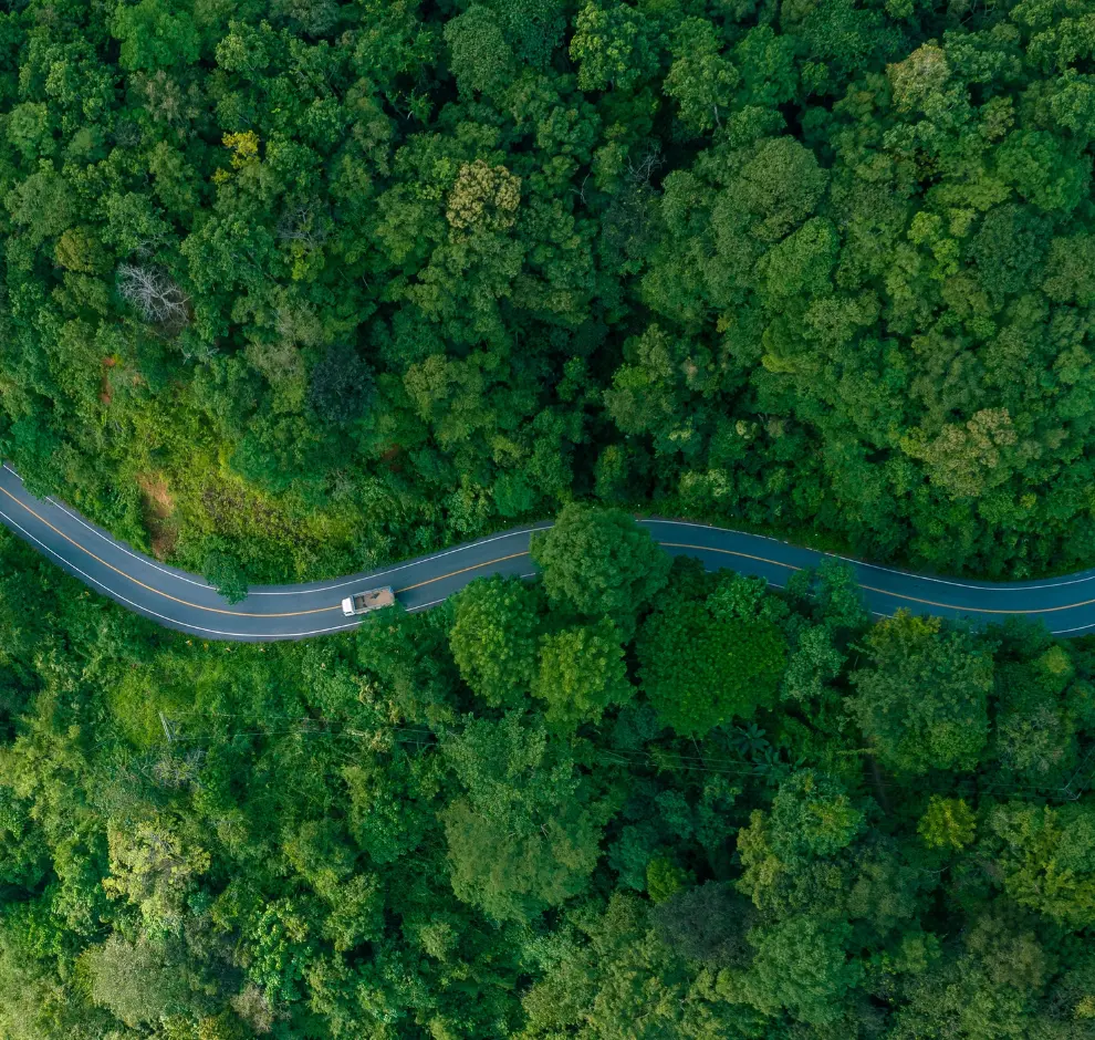 Aerial view of car drviing through a forest